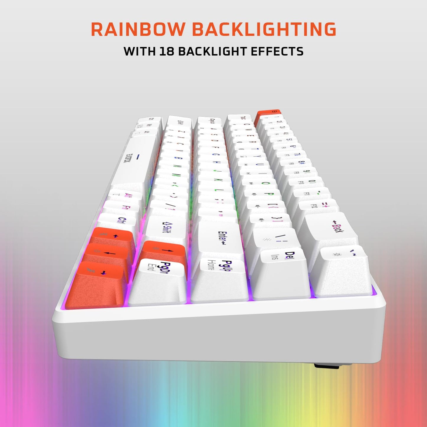 OPEN BOX EvoFox Katana S Mini Wireless Mechanical Keyboard | Tri-Mode (3X BT, 2.4GHz & Wired) Connectivity | Hot-Swappable Red Switches | 68-Key Compact Layout | Rainbow Backlight | Rechargeable Battery